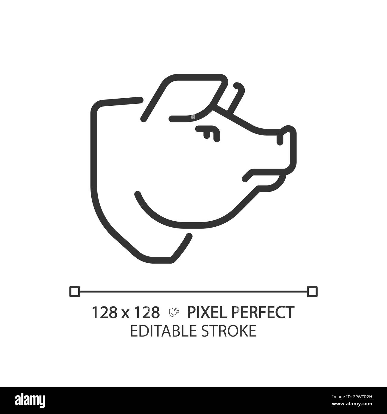 Perfect pig hi-res stock photography and images - Alamy