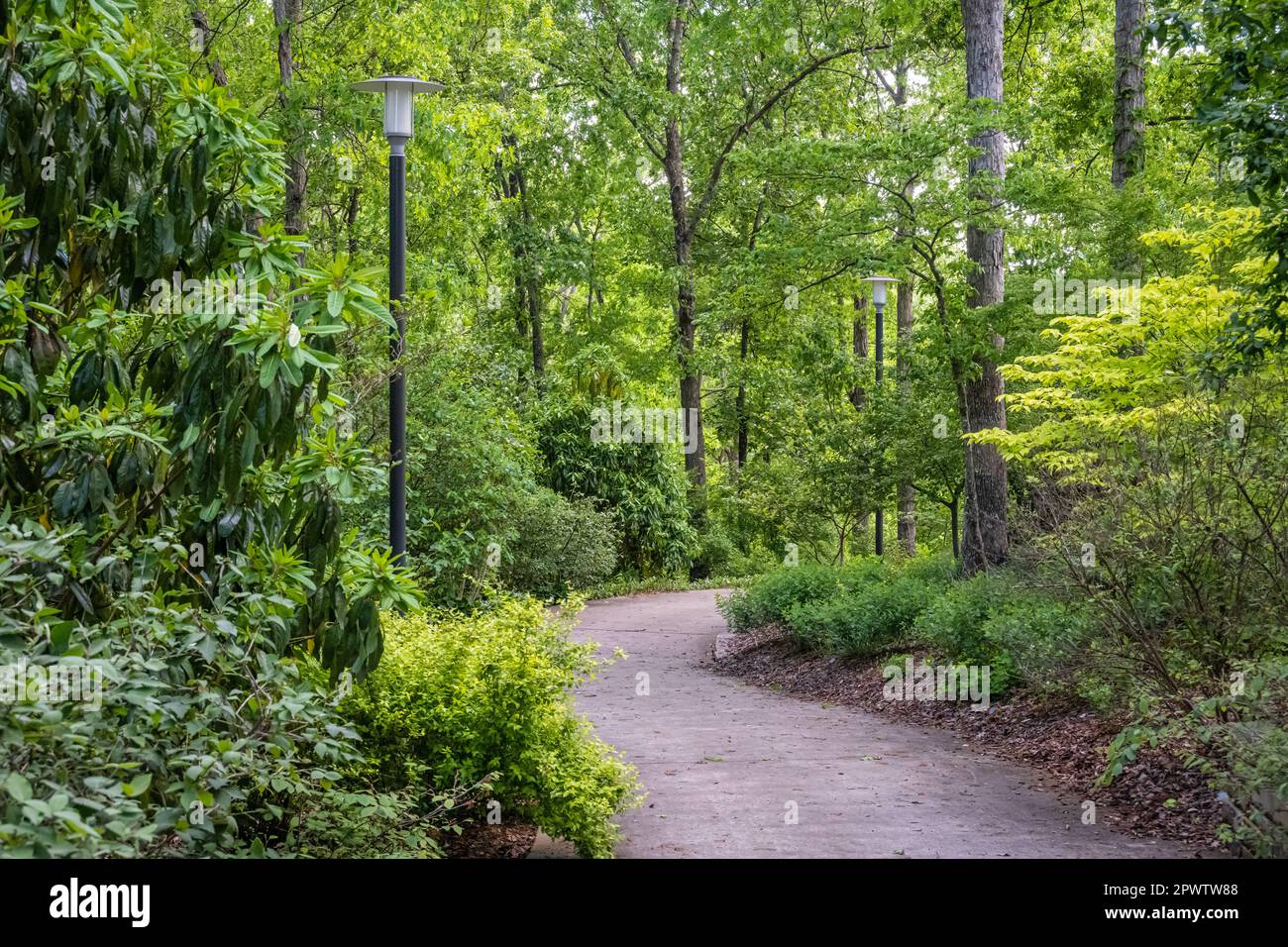Winding, wooded, walking path in spring at the Atlanta Botanical Garden in Gainesville, Georgia. (USA) Stock Photo