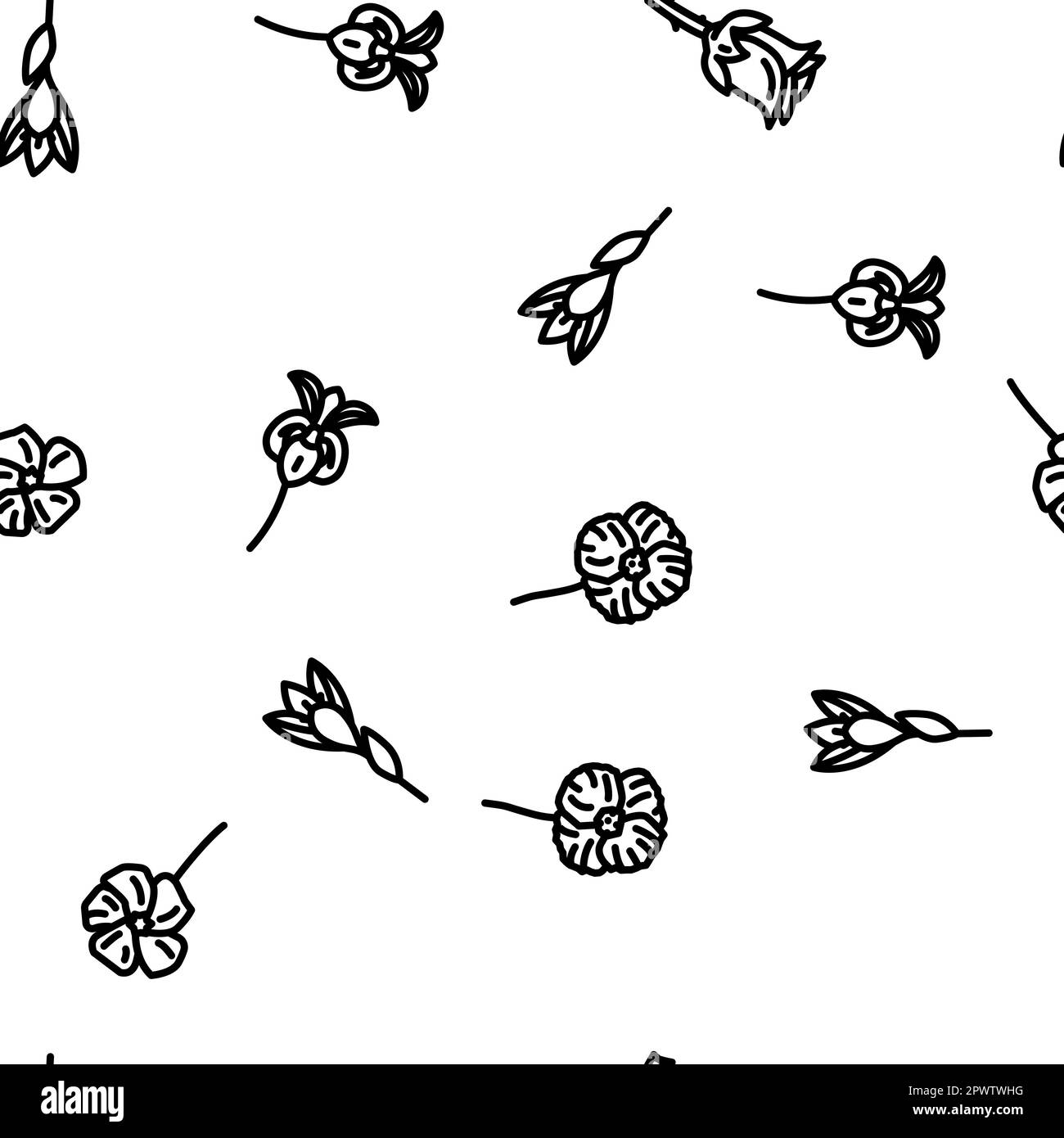 flower spring floral blossom vector seamless pattern thin line ...