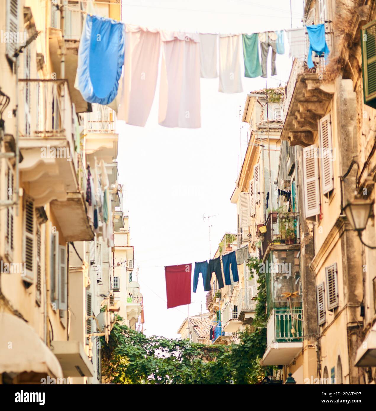 Low angle shot of clothing hanging from clothing lines between