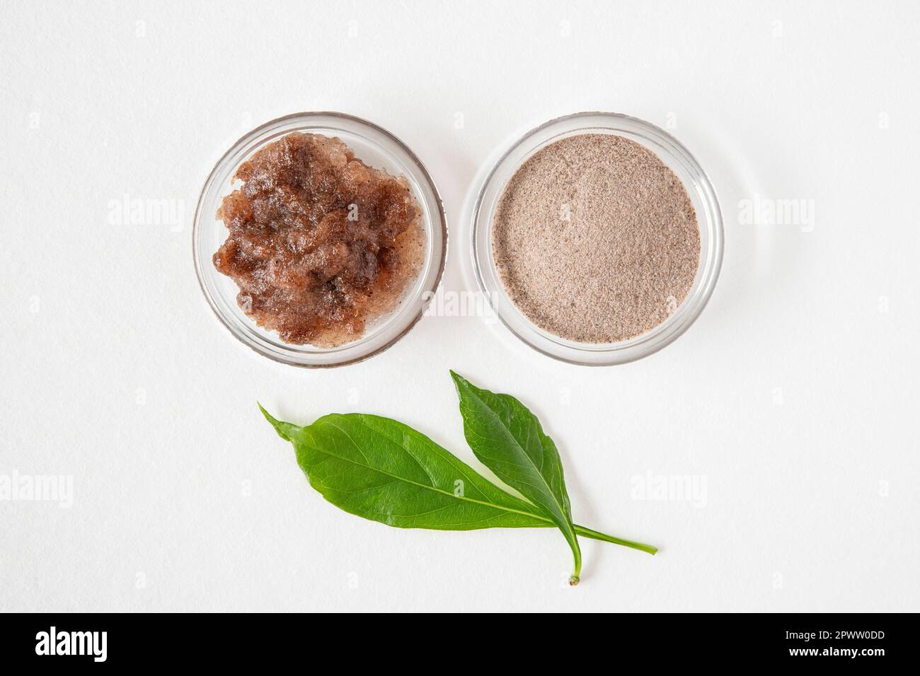 Leaf of the baobab tree, powdered and rehydrated used for food Stock