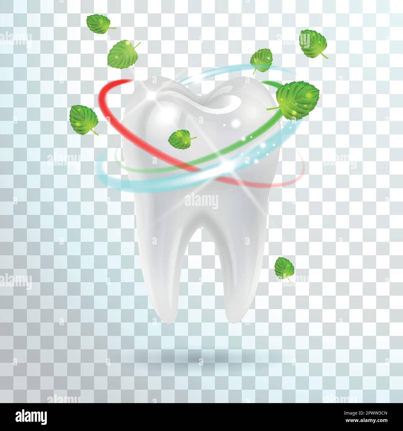 white tooth with refreshing mint leaves on transparent background Stock Vector