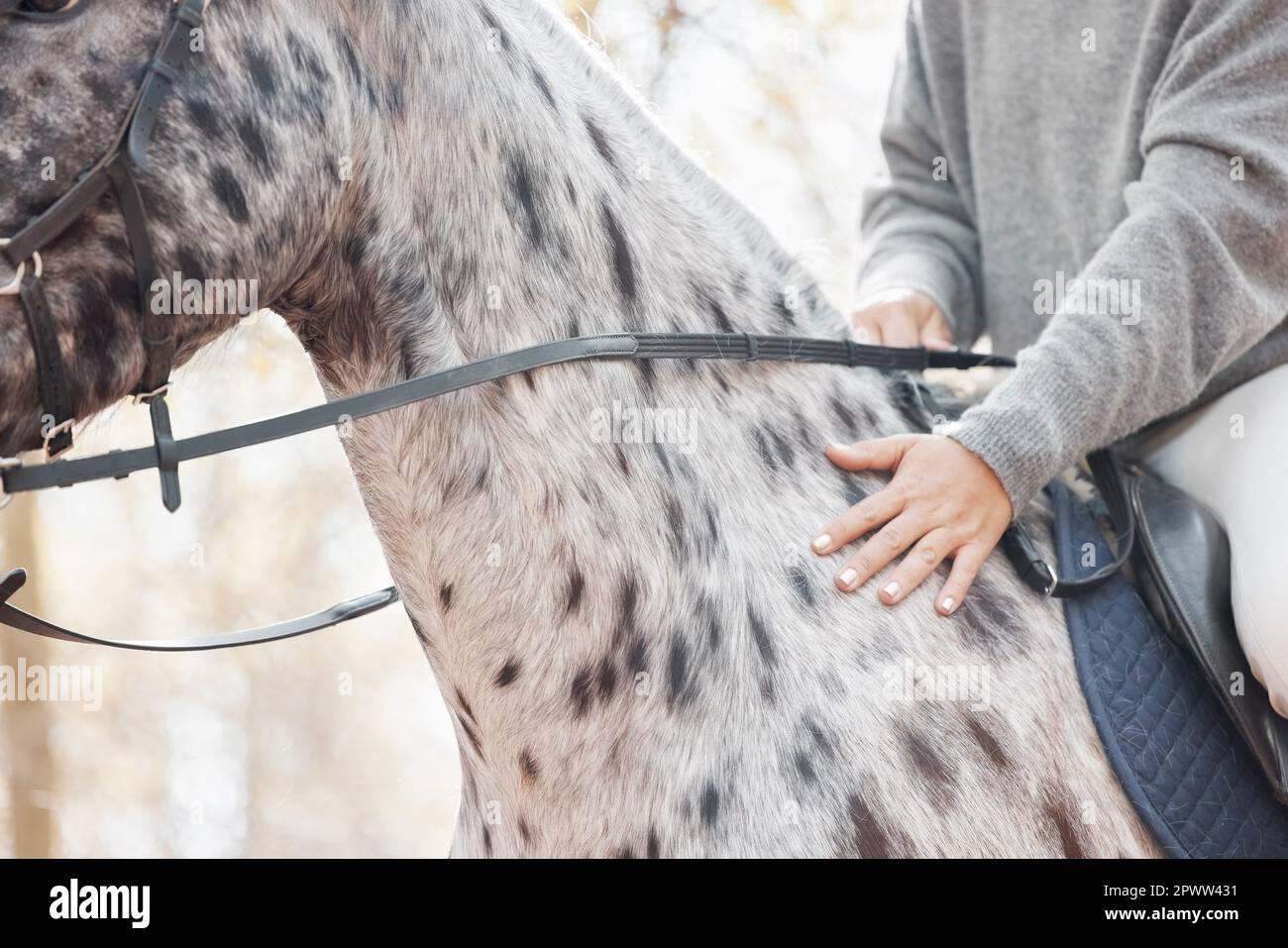 When riding a horse, we borrow freedom. an unrecognizable woman riding
