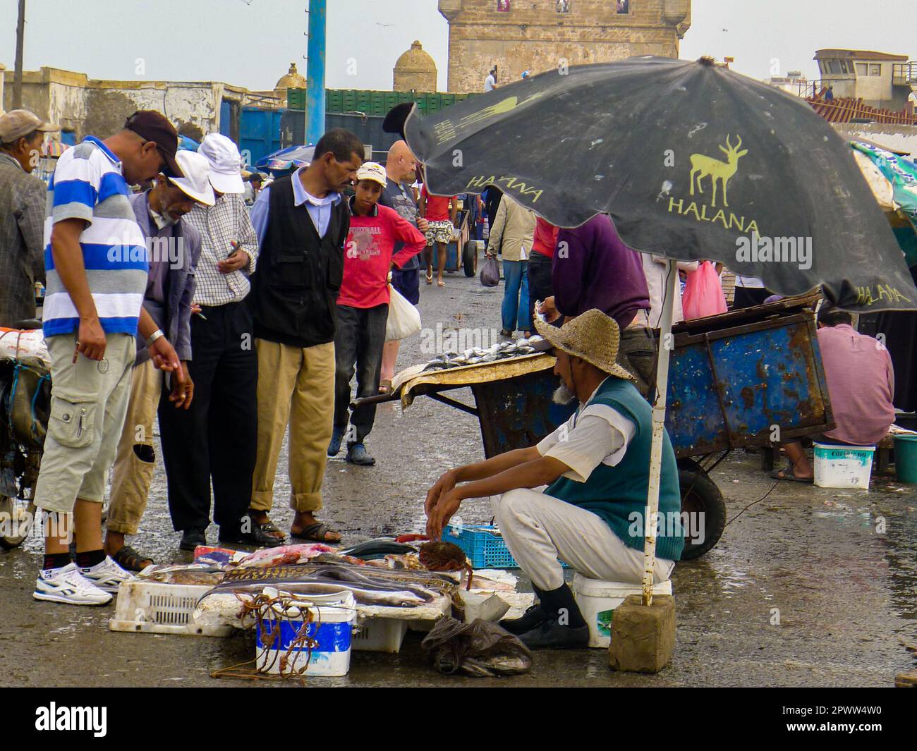 Quayside fish market. Essaouira Harbour. Essaouira, Morocco Stock Photo