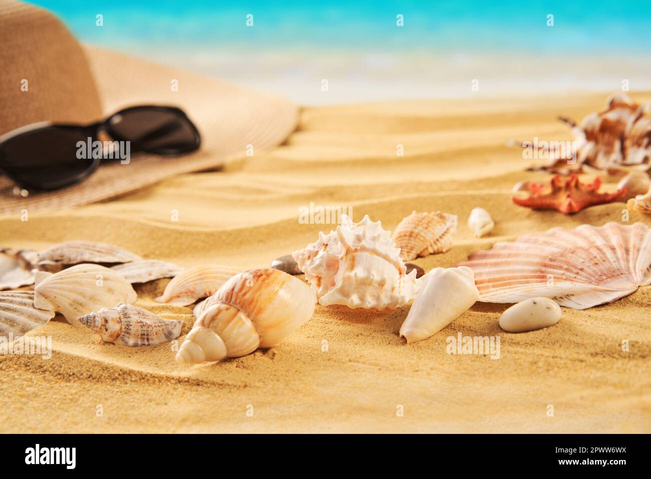 Summer time vacation concept. Straw hat, seashells on the sand beach and sea background. Travel Stock Photo