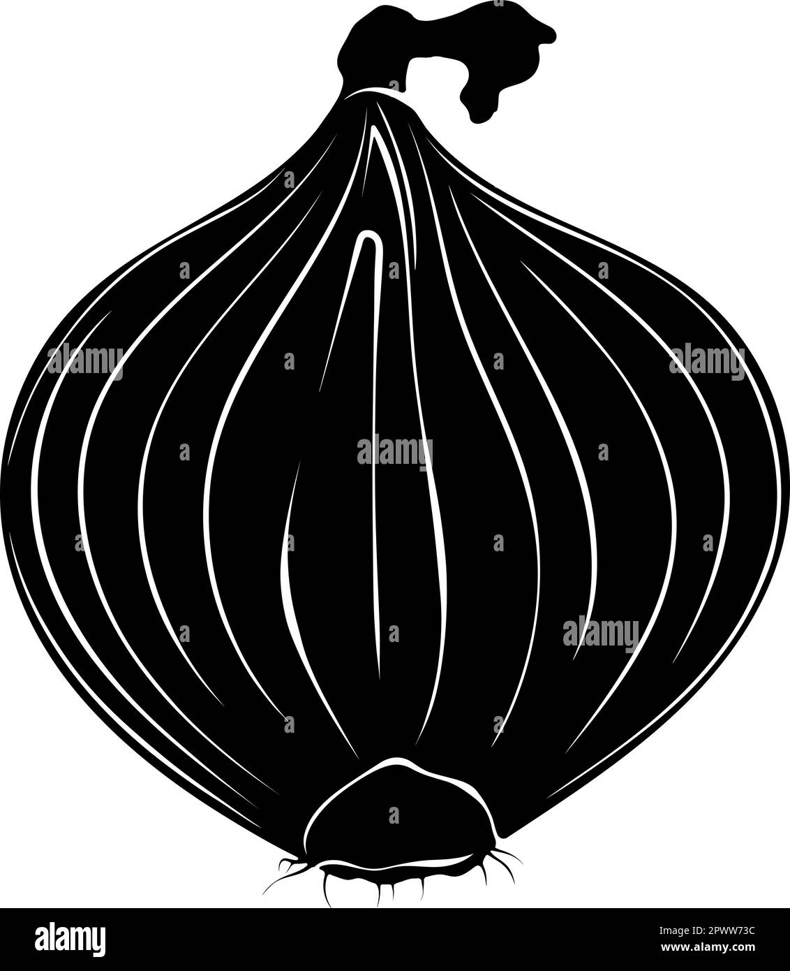 Onion Black And White