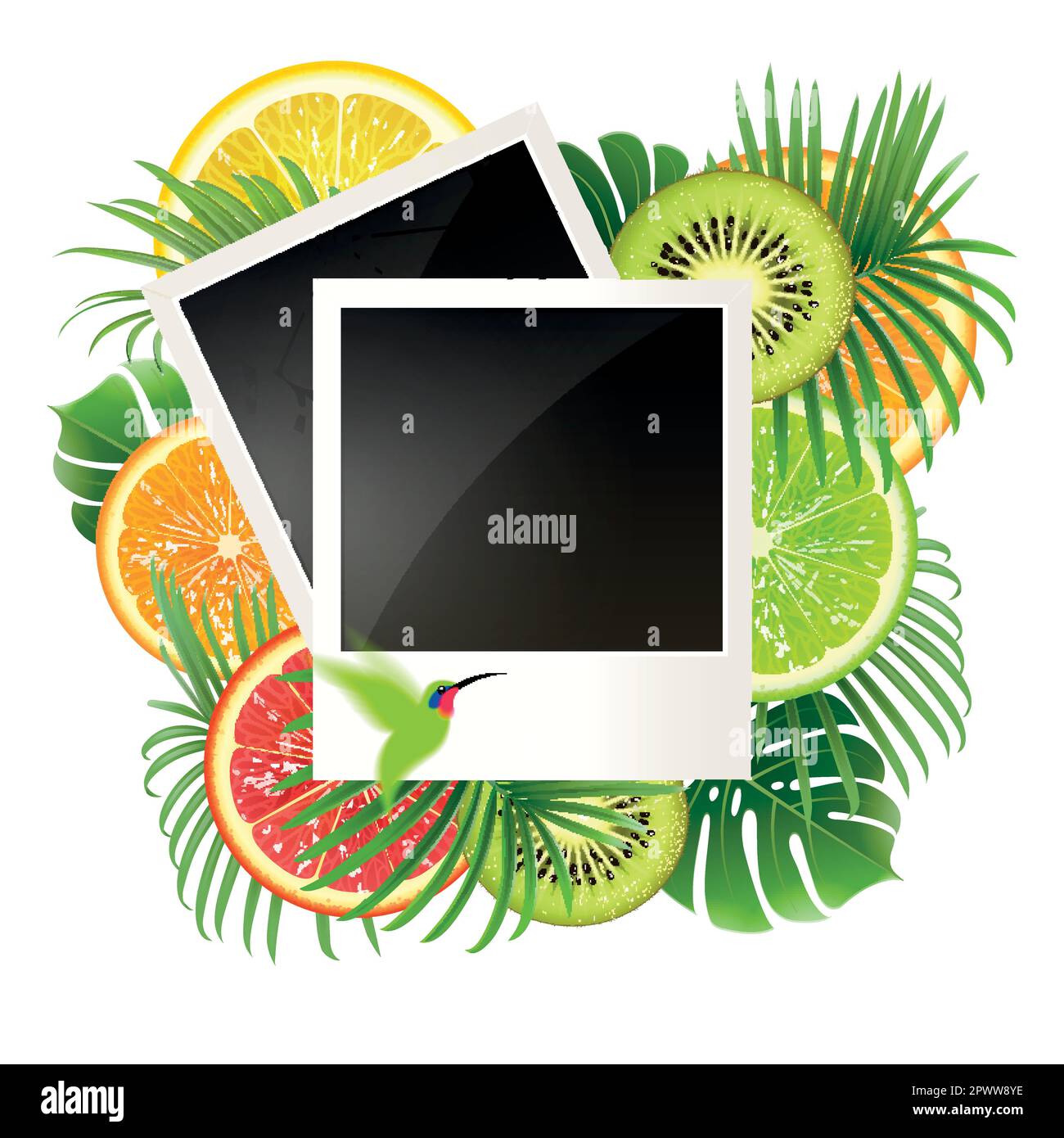banner with empty photos on a tropical background with a green hummingbird Stock Vector