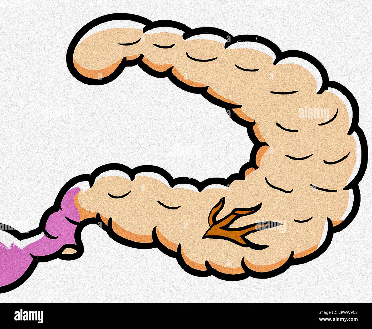 Pancreas cartoon Stock Photo