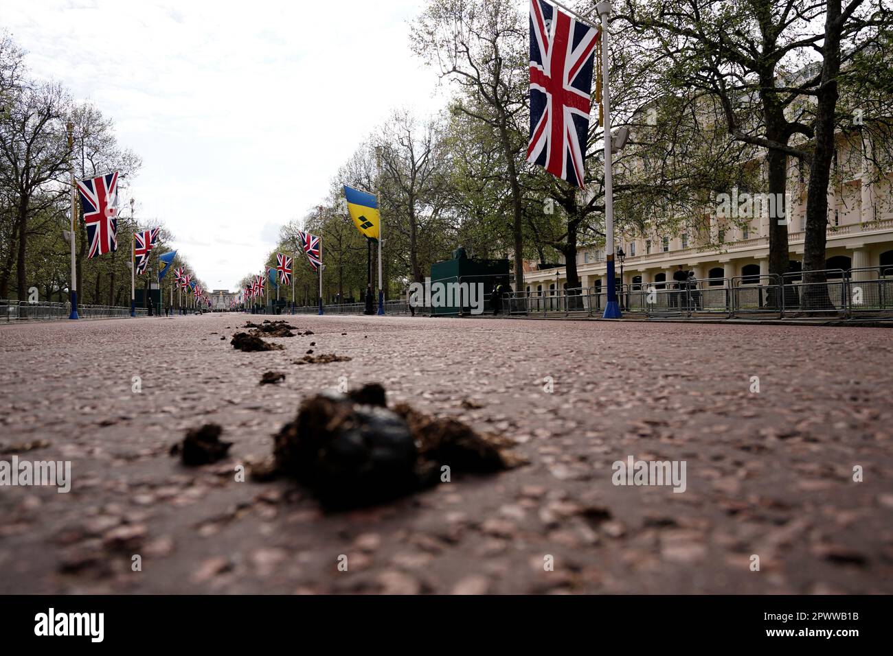 Horse manure on the Mall, London, ahead of the coronation of King