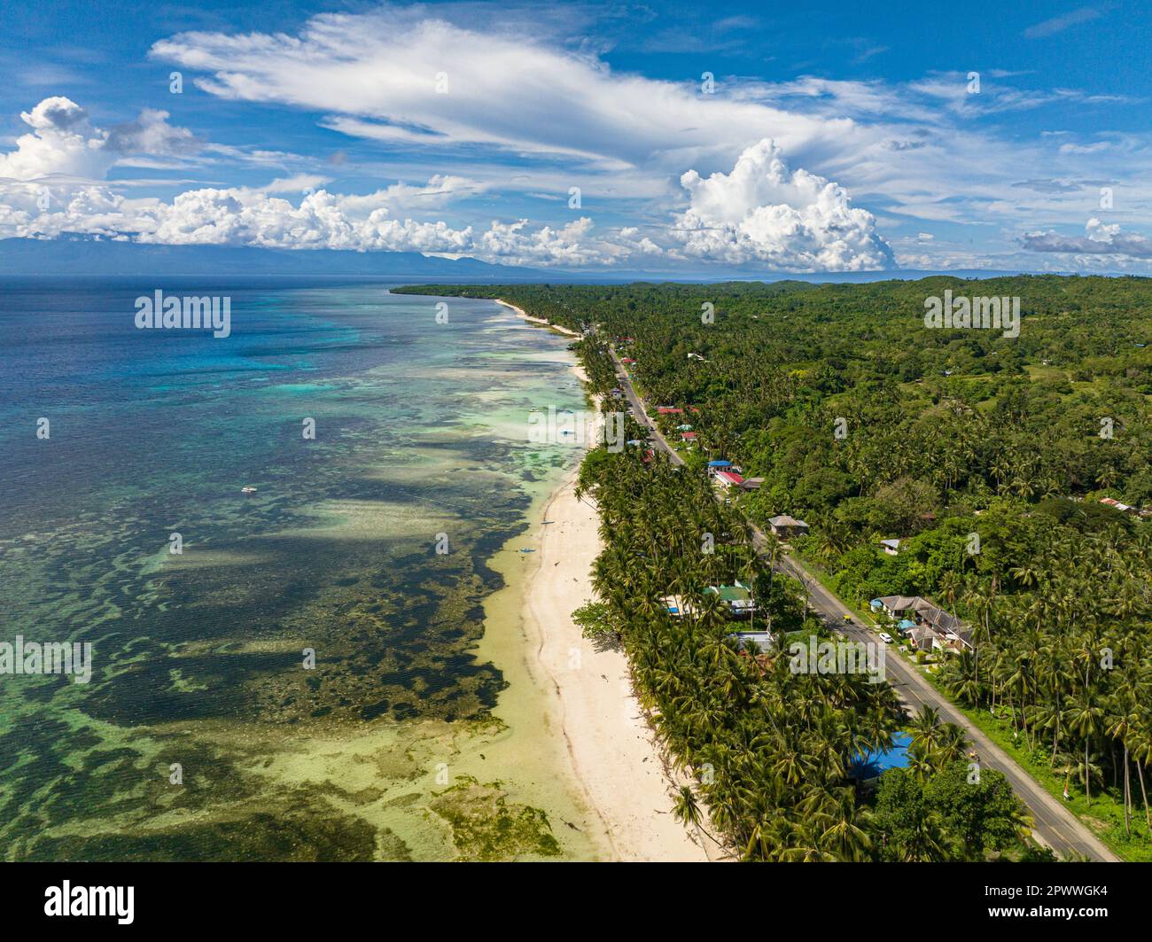 Overhead view of Tropical Island with lush palm trees and transparent turqquoise sea water. Siquijor, Philippines. Stock Photo