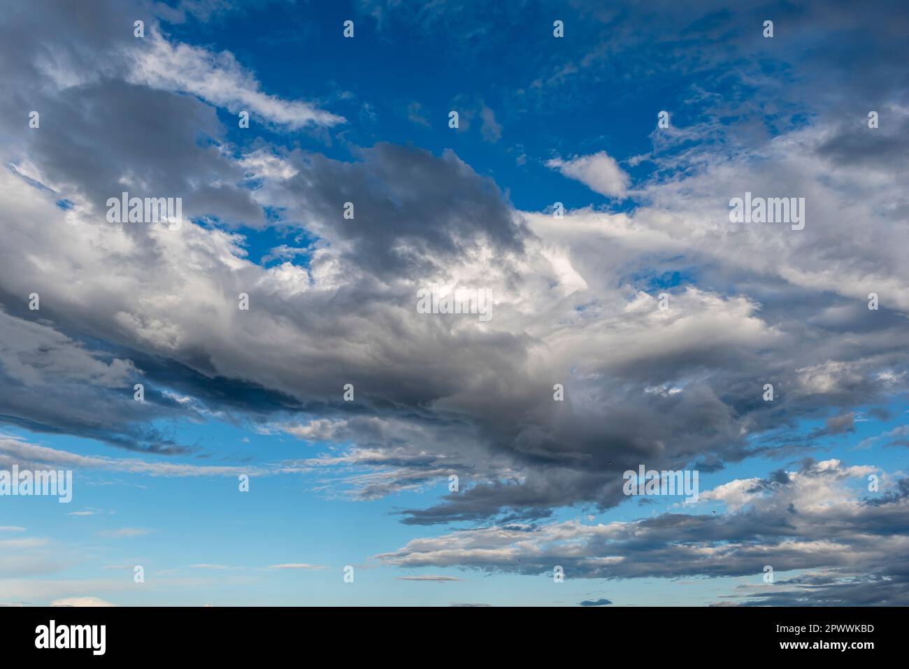 Windblown stratus clouds in the blue sky in lower view in fine weather