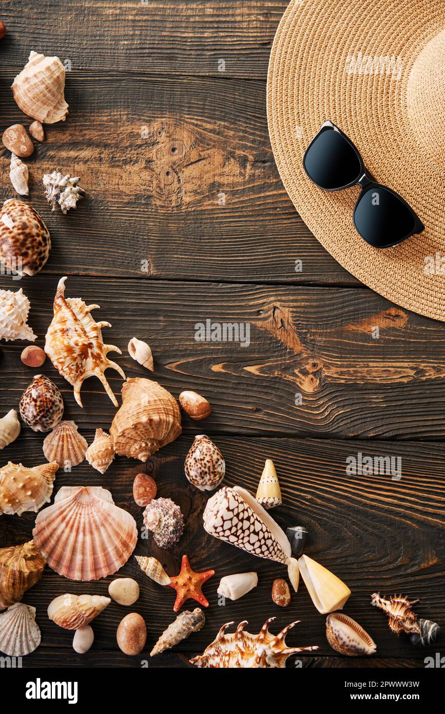 Summer time vacation concept. Straw hat, sunglasses and various seashells on dark wooden background with copy space for text. Flat lay, top view Stock Photo
