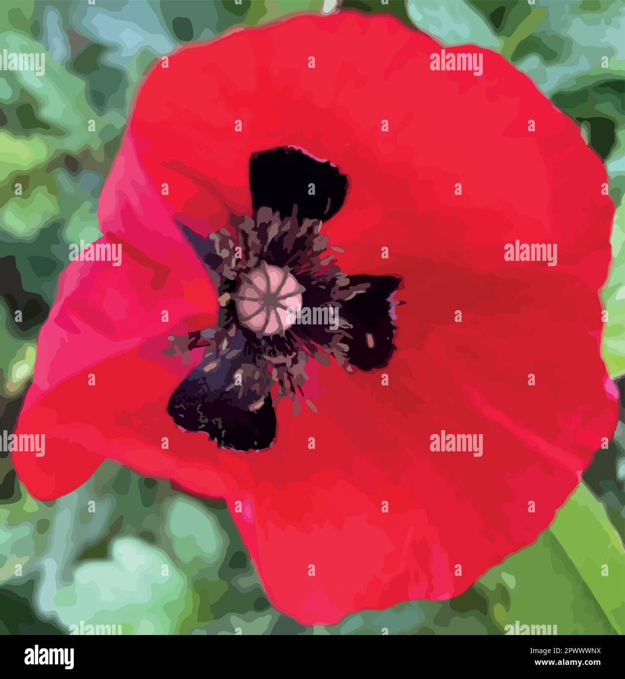 The beautiful and delicate flower of the spring season and the month of