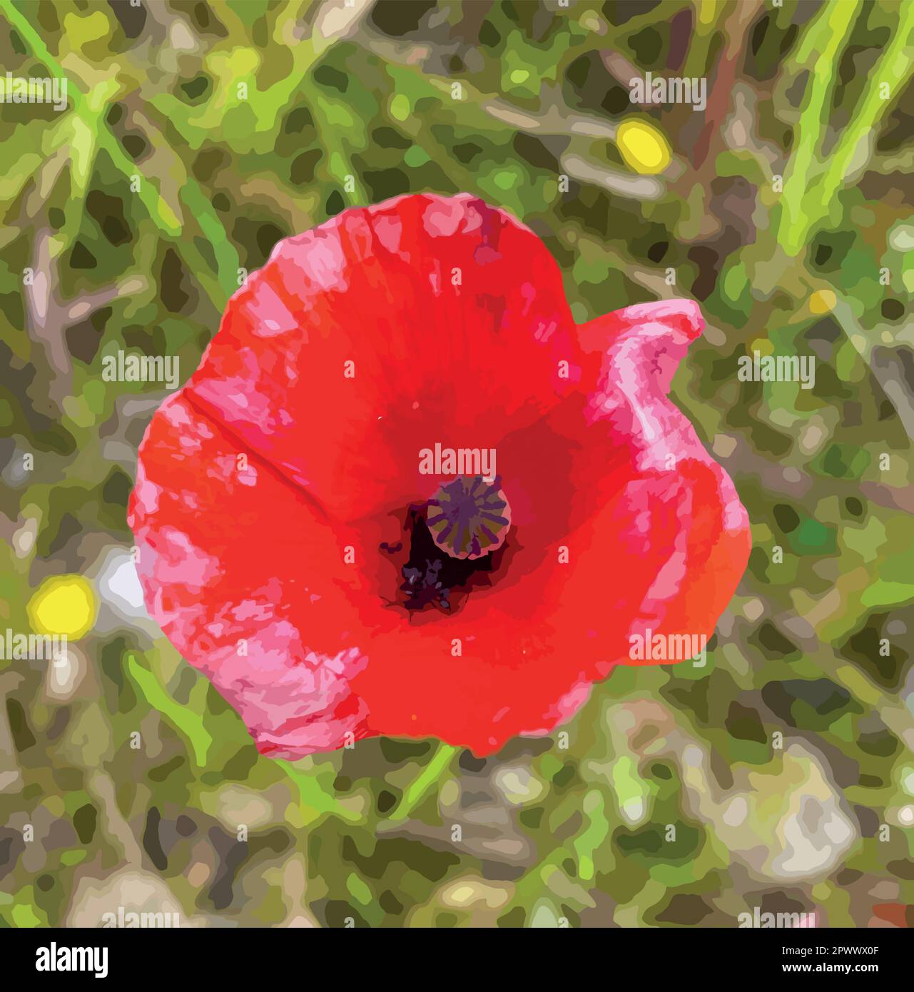 The beautiful and delicate flower of the spring season and the month of