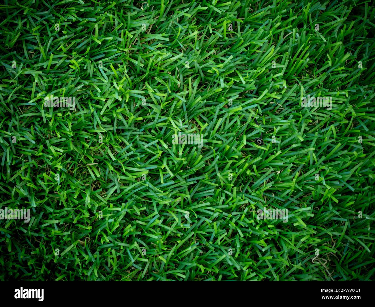 artificial green grass using for background or texture Stock Photo