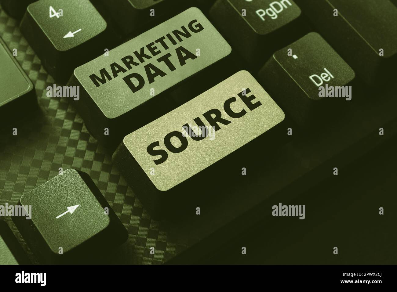 Conceptual display Marketing Data Source, Internet Concept connection set up to a database from a server Stock Photo