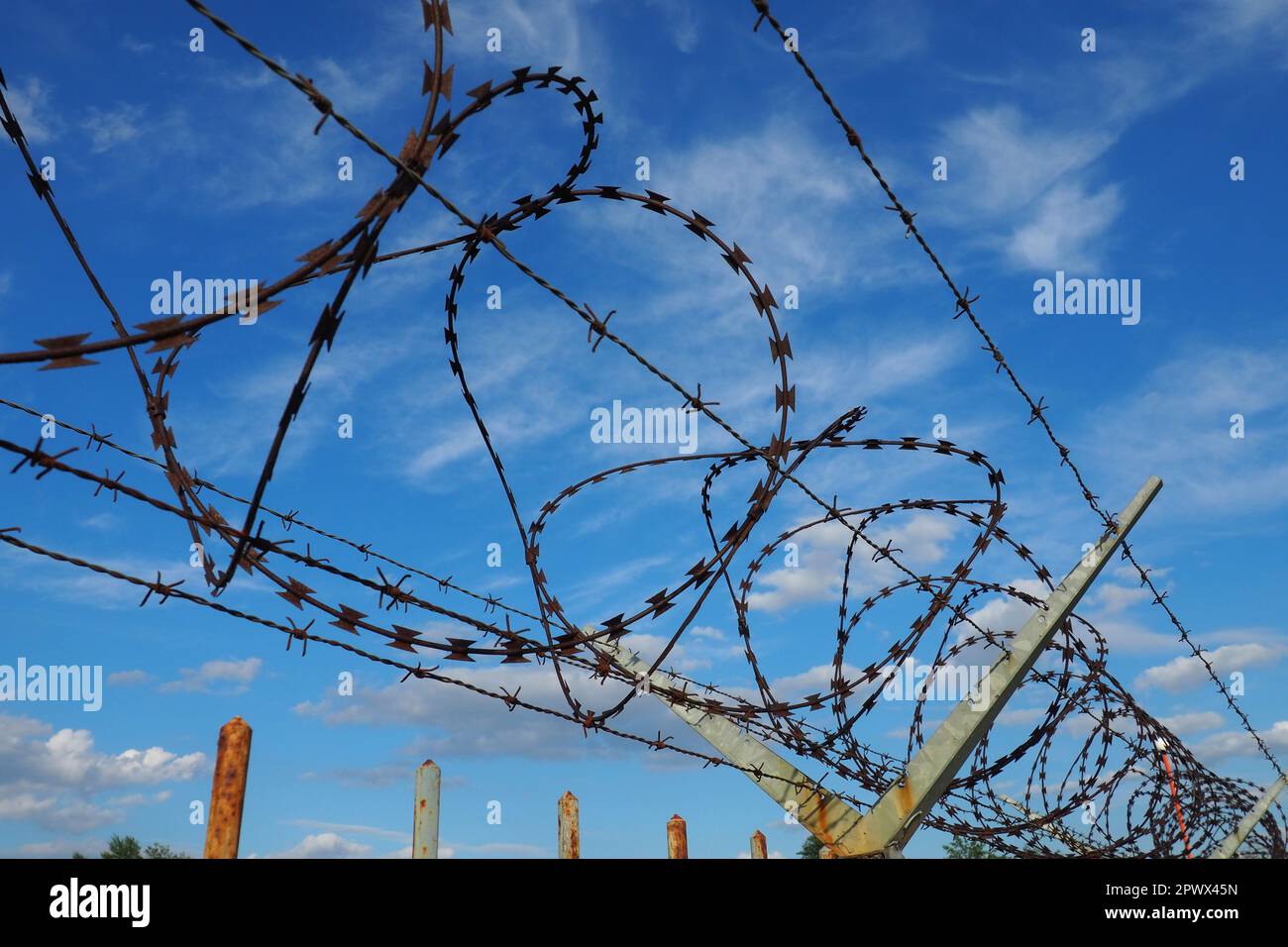 Barbed wire against the blue sky. Barbed wire is a wire or a narrow strip of metal with sharp spikes. Device of barriers. The concept of freedom, prot Stock Photo