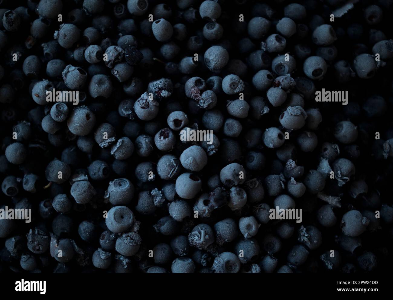 Frozen blueberries in dramatic light. Overhead view Stock Photo