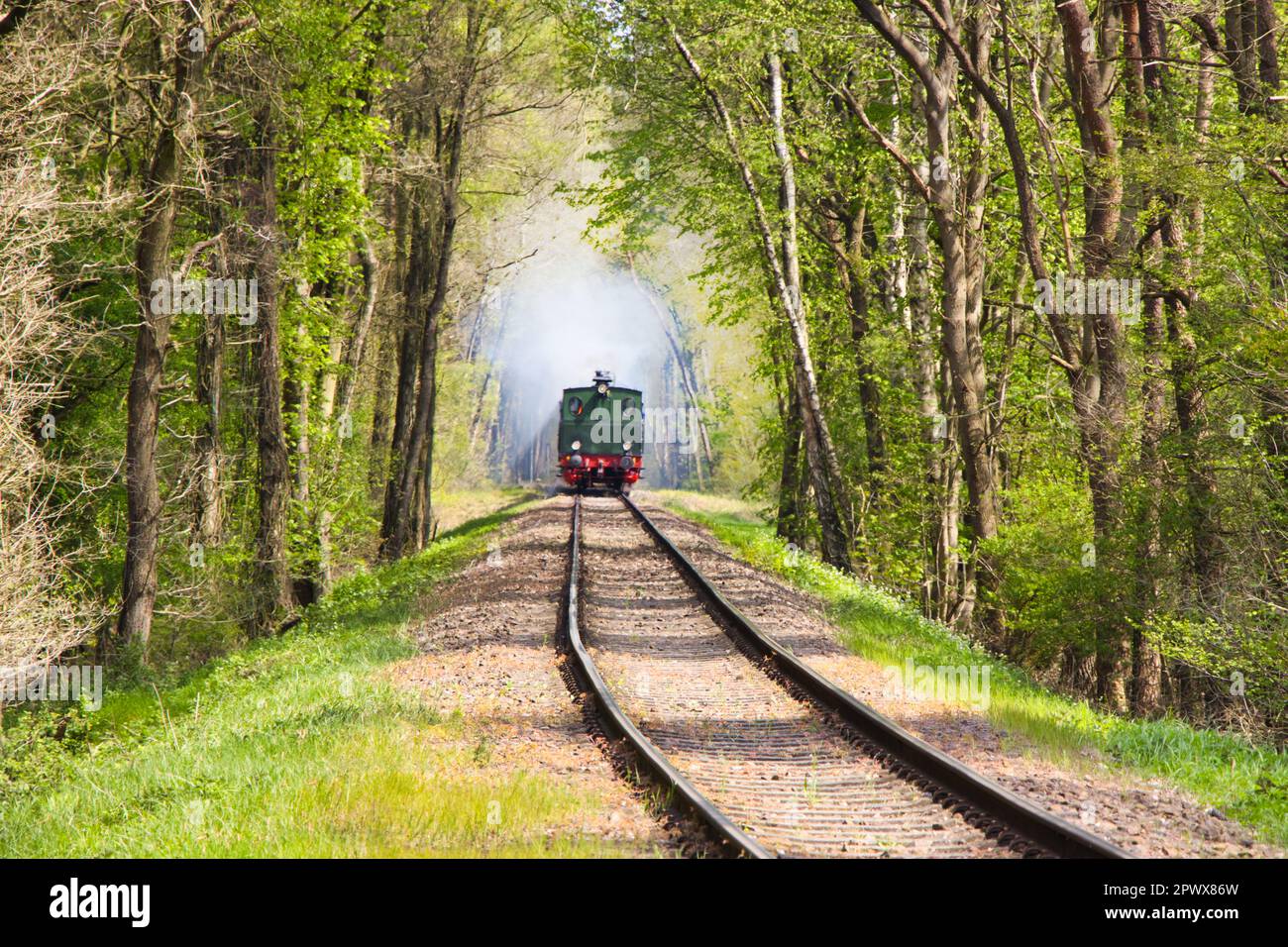 Old train coming home Stock Photo