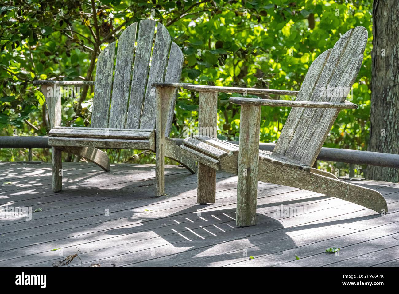 Adirondack chairs along a winding, wooded, walking path at the Atlanta Botanical Garden in Gainesville, Georgia. (USA) Stock Photo