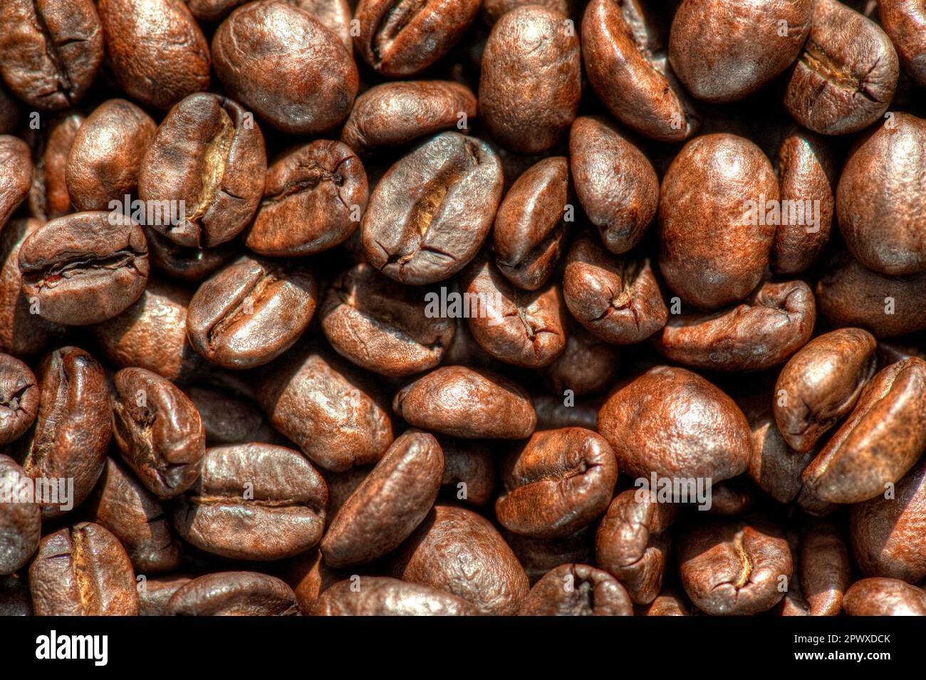 Extreme close up of roasted coffee beans Stock Photo