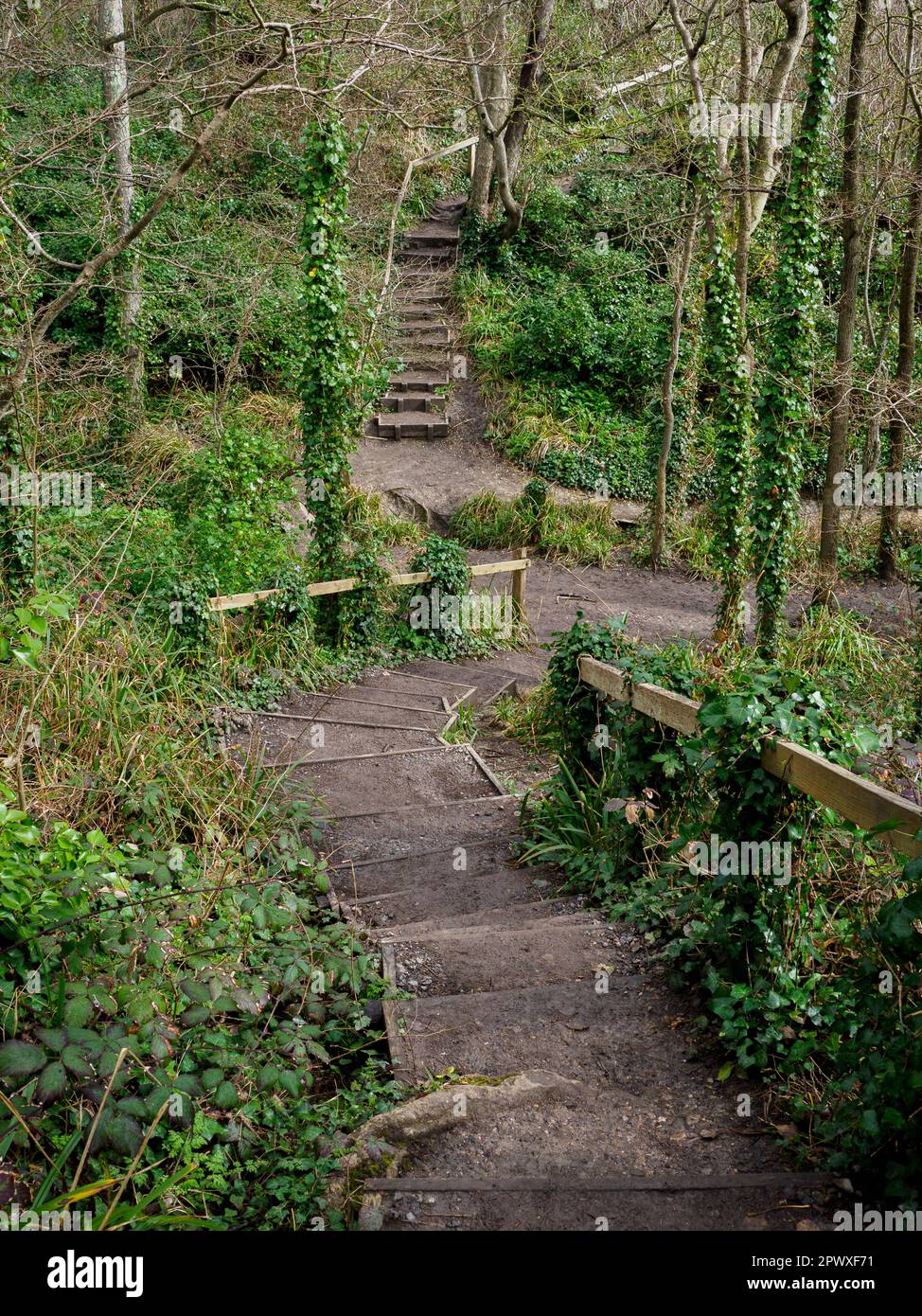 Steps along the South West Coast Path at Ringstead Bay, Dorset, UK Stock Photo