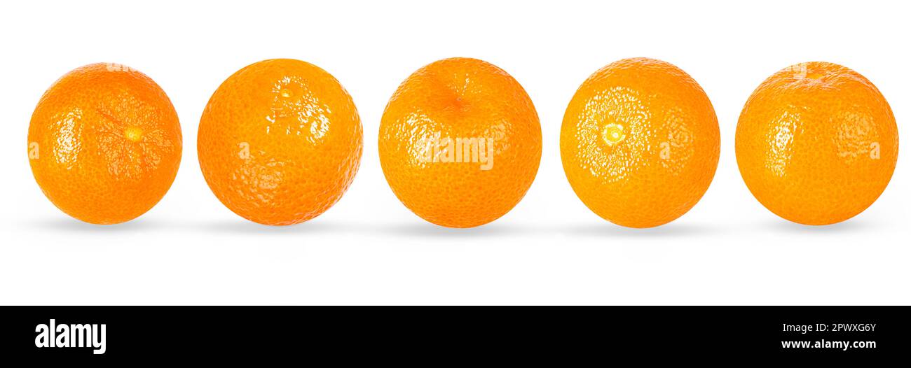 Isolated fruit set. 5 tangerine fruits isolated, top view on white