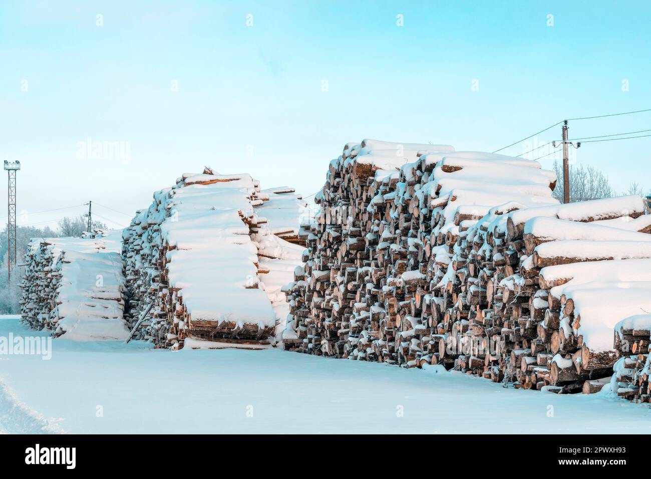 Snows Timber Logs stored in stacked piles covered with a snow. Timber wood industry ...