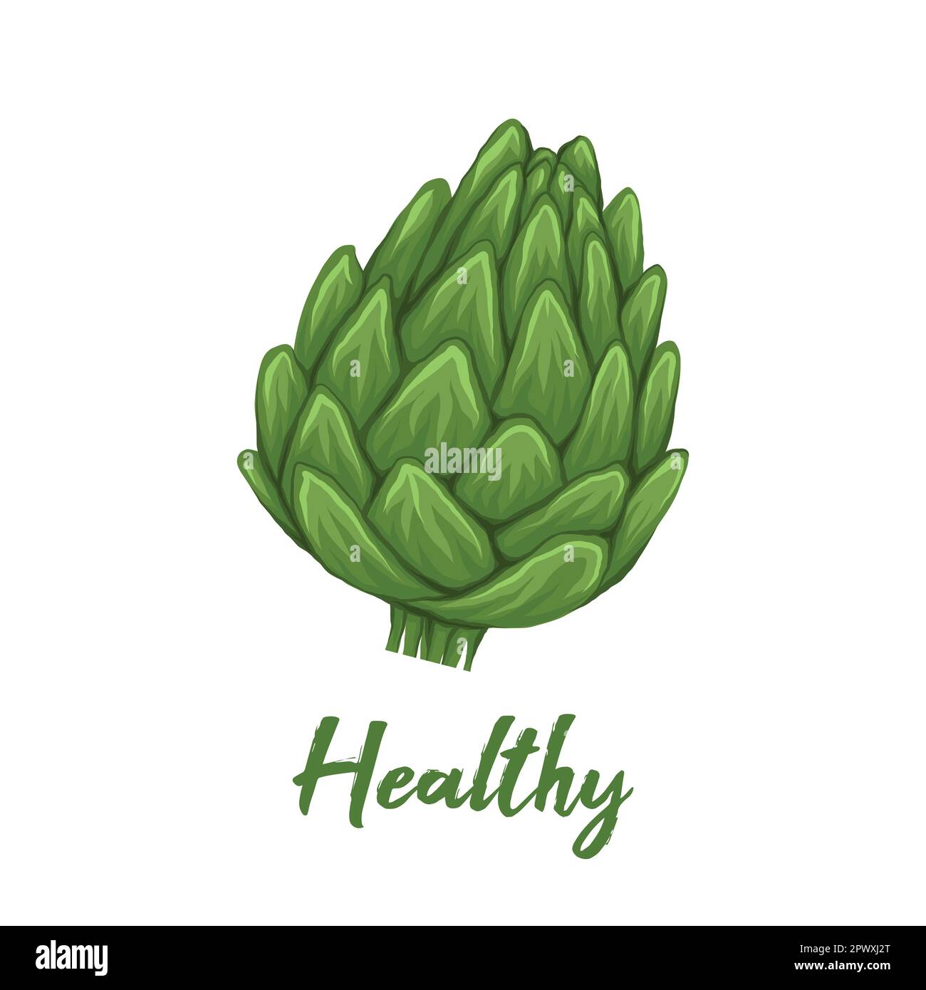 Vector illustration of artichoke with lettering. Colorful sketch of