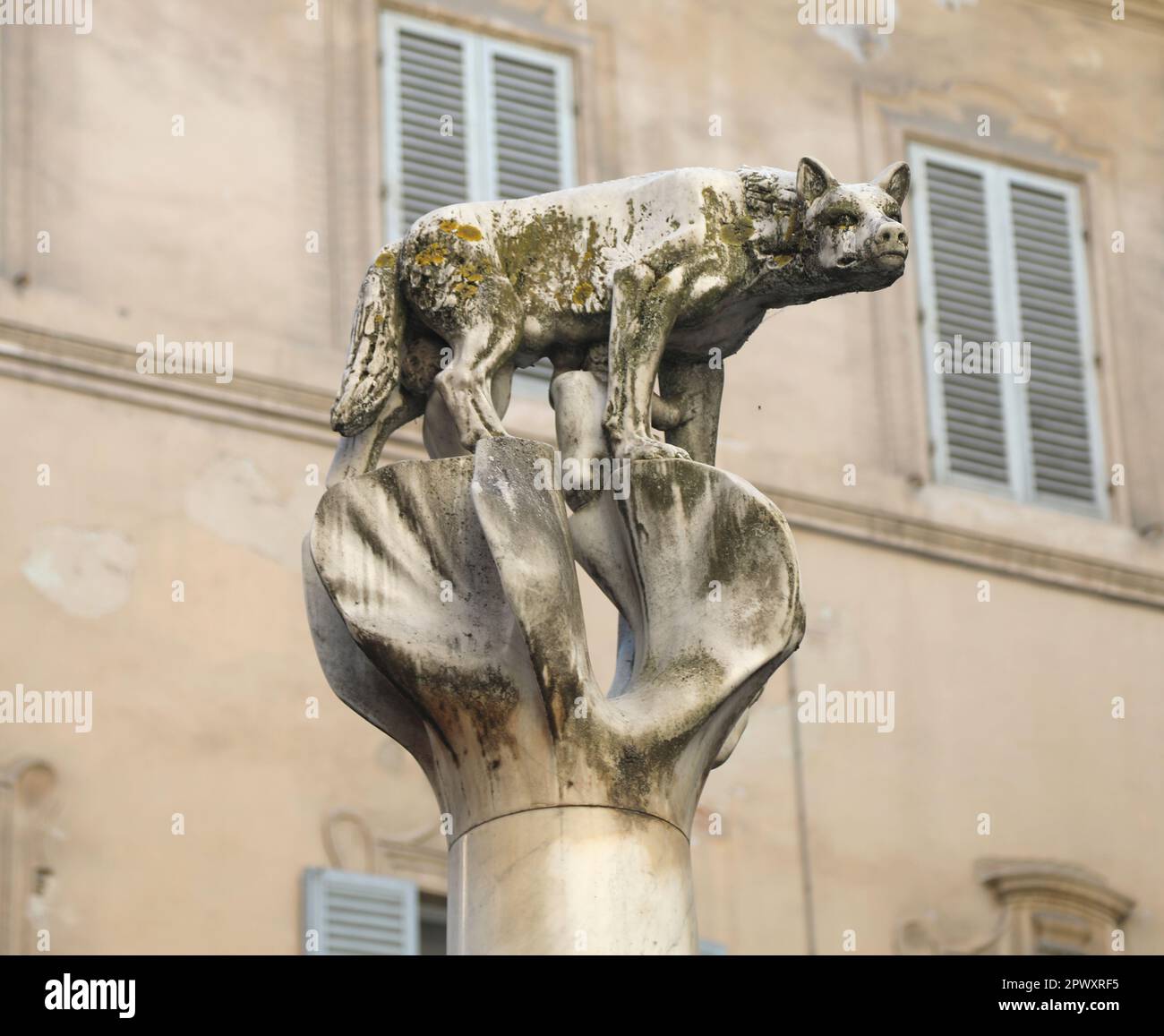 statue of a female wolf in Siena City in Italy called LUPA SENESE in