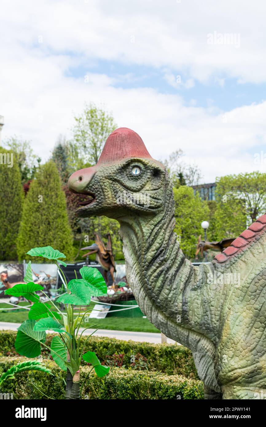 Reconstructed lifesize animated models of a dinosaur. The park of