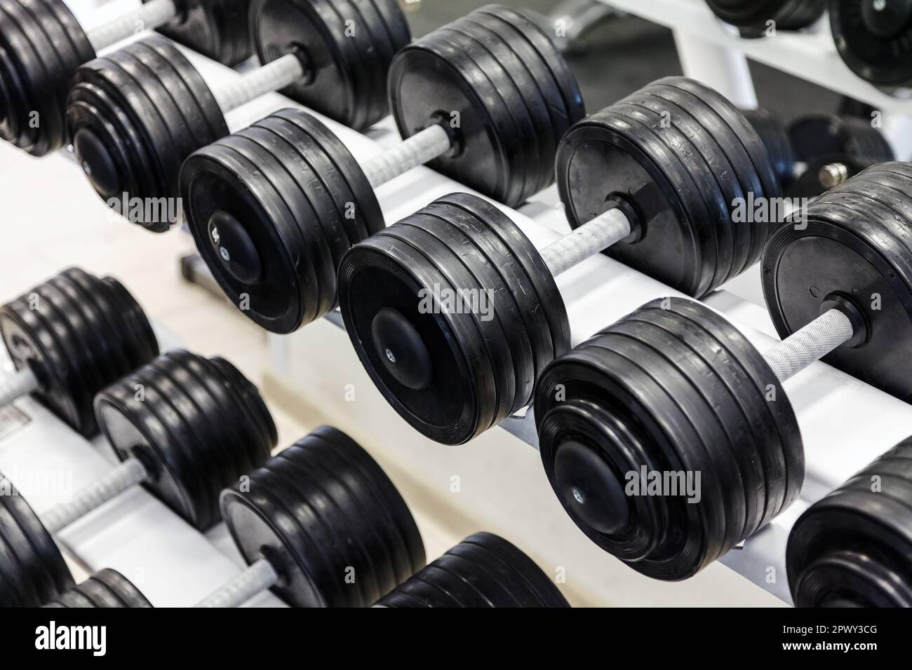 Barbells on a stand Stock Photo Alamy