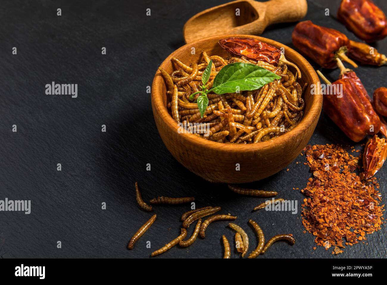 Flour worm with chili. Fried salty worms. Baked worms. Healthy diet