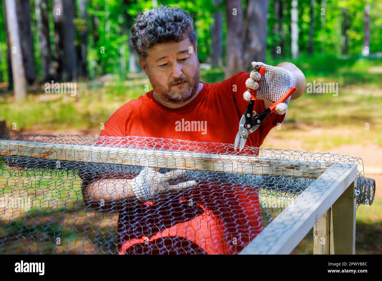 On farm worker is using scissors to cut metal grid wooden domestic chicken coops Stock Photo Alamy