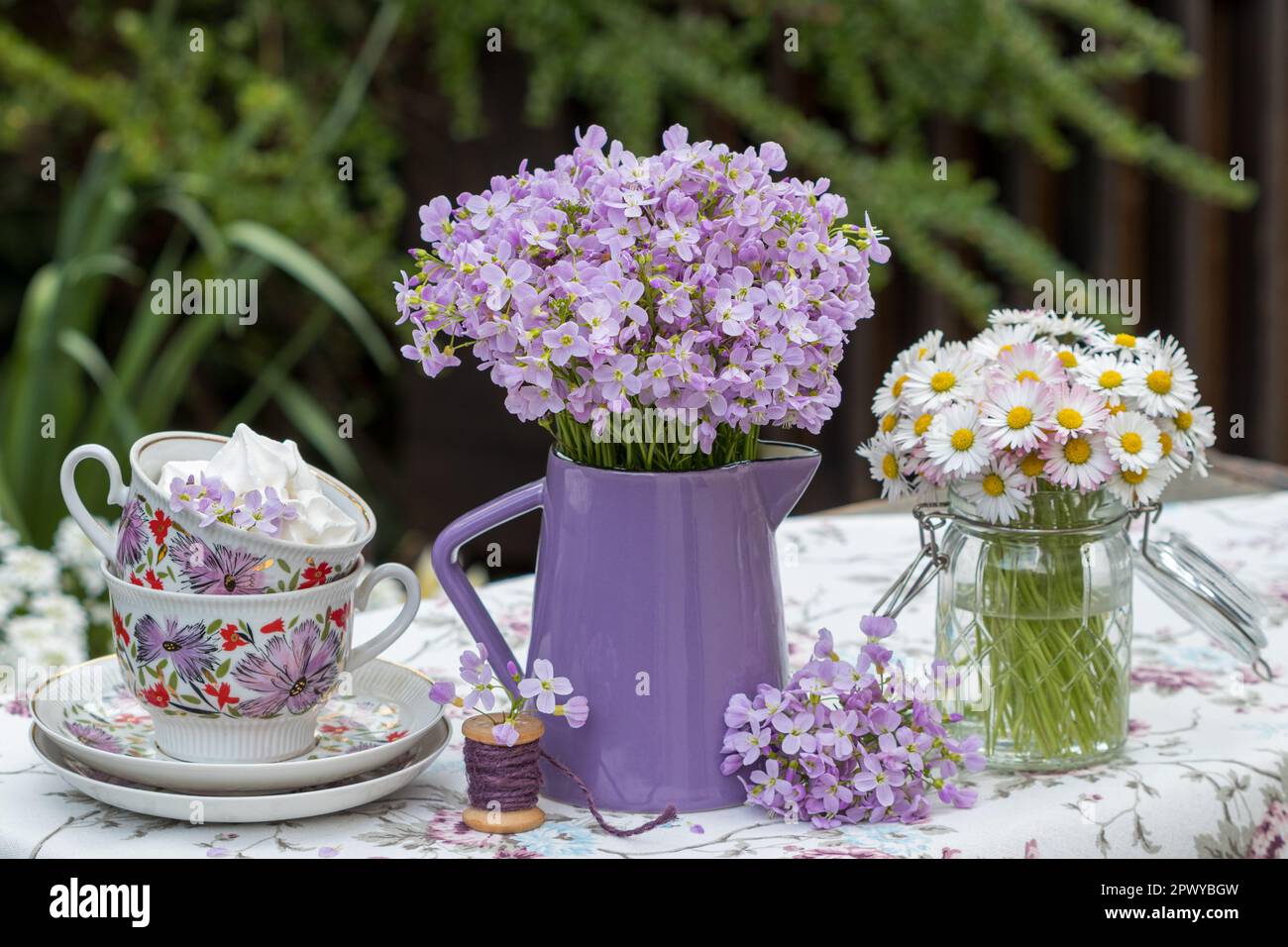 arrangement with bouquet of meadow foamwort, vintage porcelain cups and daisy flowers Stock Photo