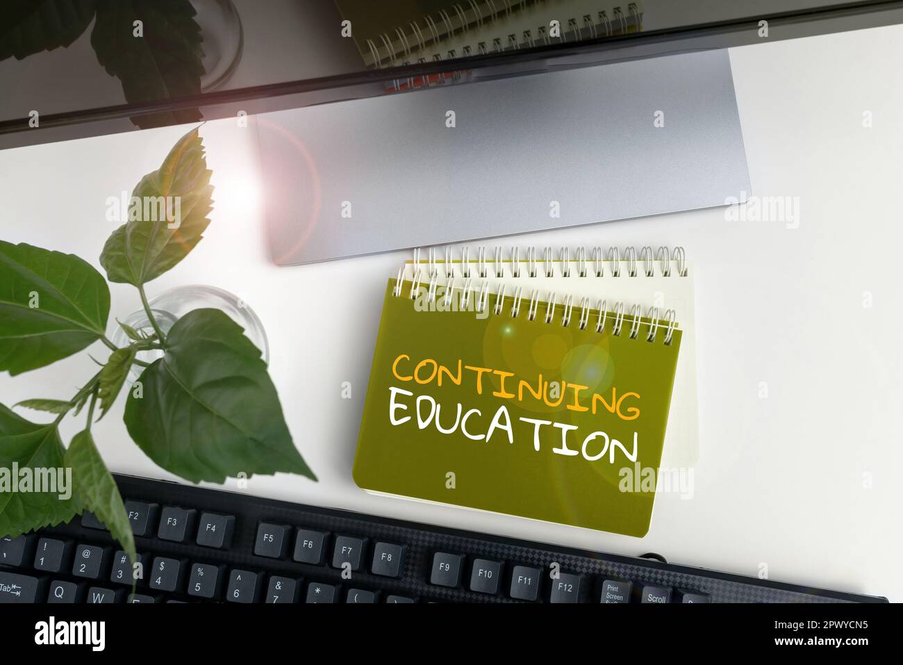 Conceptual caption Continuing Education, Business concept Continued Learning Activity professionals engage in Stock Photo