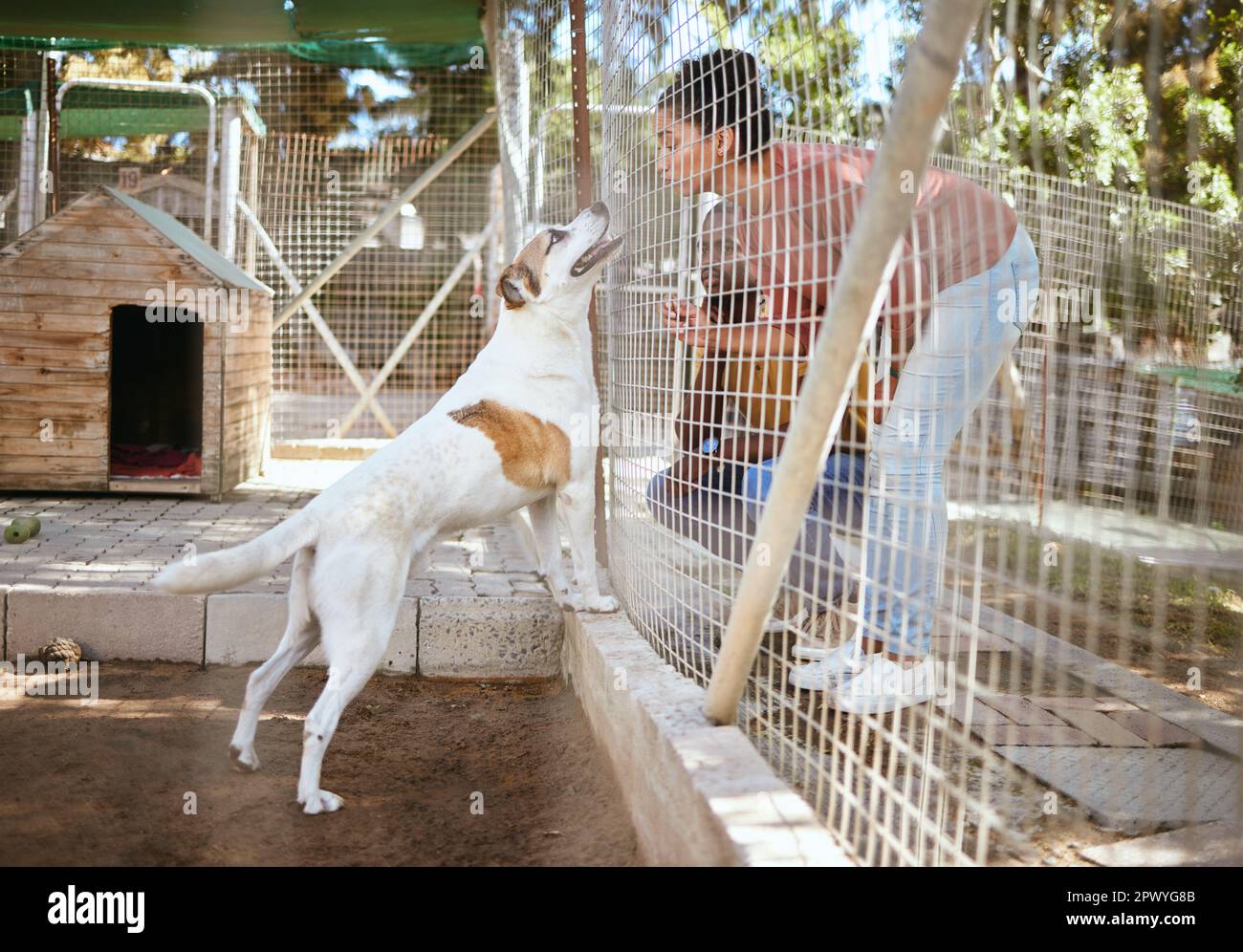 Fence, dog and adoption at animal shelter with black couple playing with animal. Empathy, foster care and man and woman bonding, enjoying time and hav Stock Photo