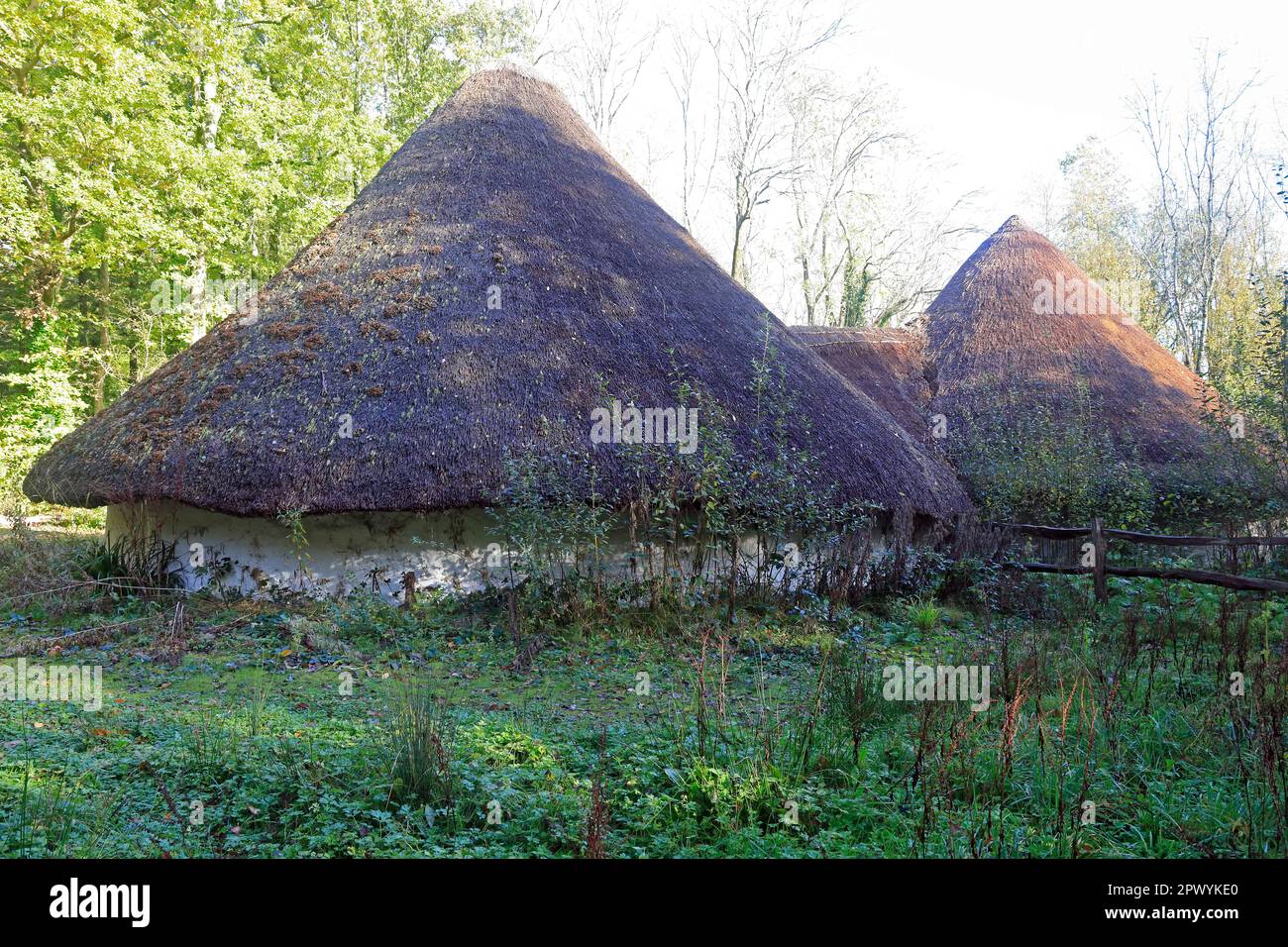 Roundhouses at the Celtic Village exhibition, St Fagans Museum, Cardiff. Taken 2023 Stock Photo