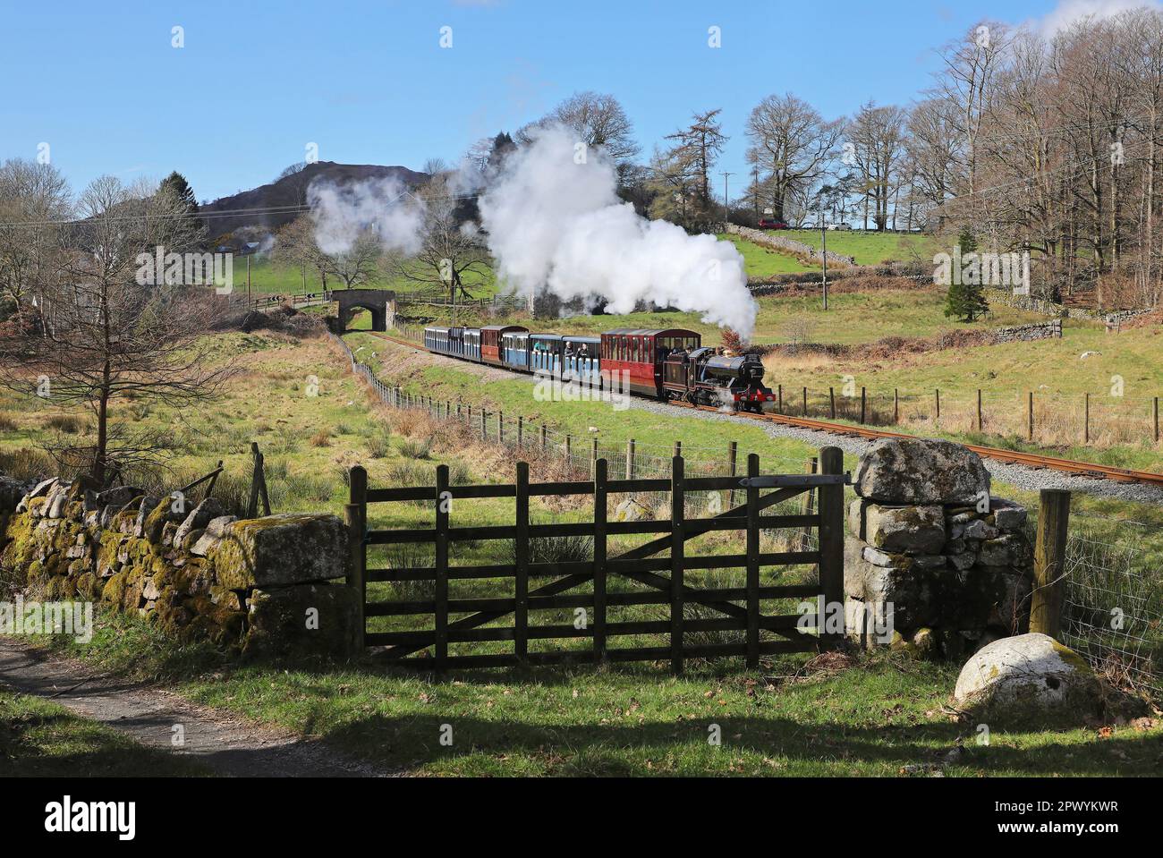 'River Esk' heads up Hollins Bank on 27.3.23 on the Ravenglass & Eskdale Railway. Stock Photo