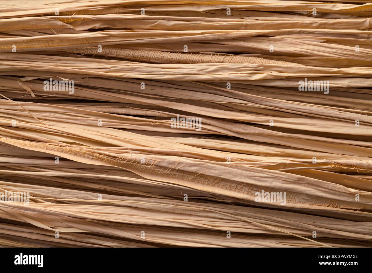 Brown Dry Grass Texture Background Close Up. Stock Photo