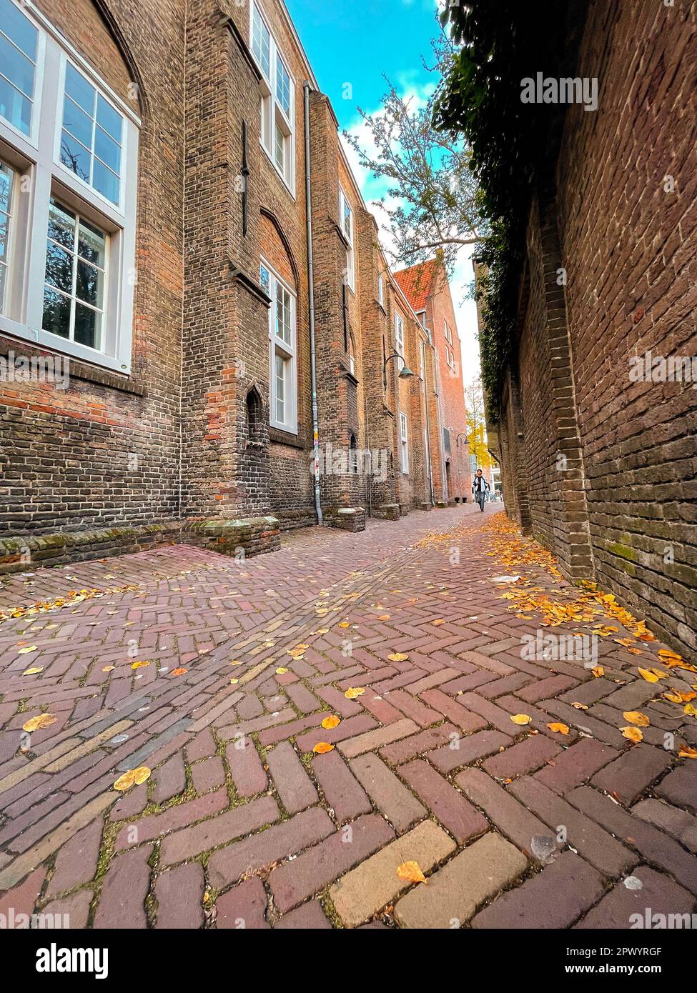 Delft, The Netherlands - October 15, 2021: Street view and city scenes in Delft, a beautiful small city in the Netherlands. Stock Photo