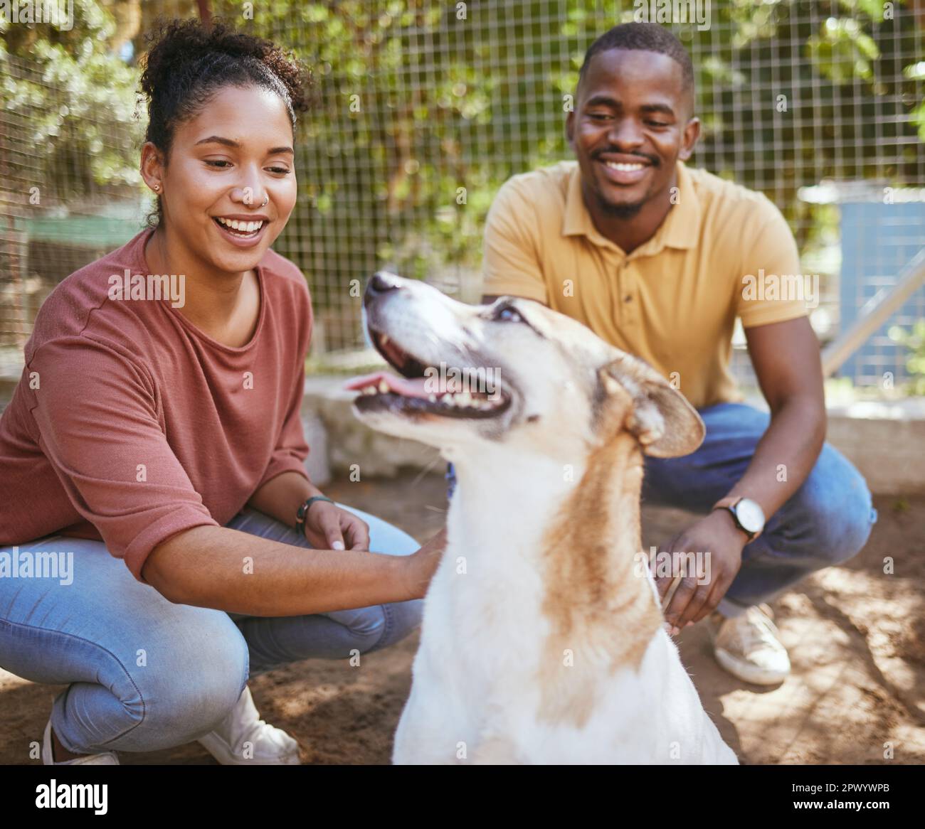Black couple, dog and pet adoption at animal shelter for welfare, charity or help for homeless pets. Love, foster care and happy man and woman bonding Stock Photo
