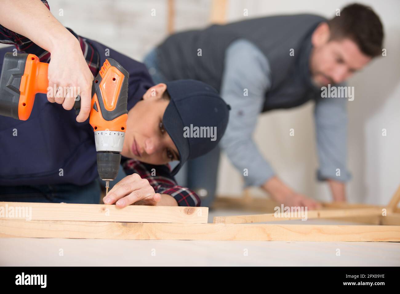 female carpenter using power screwdriver on wood Stock Photo - Alamy