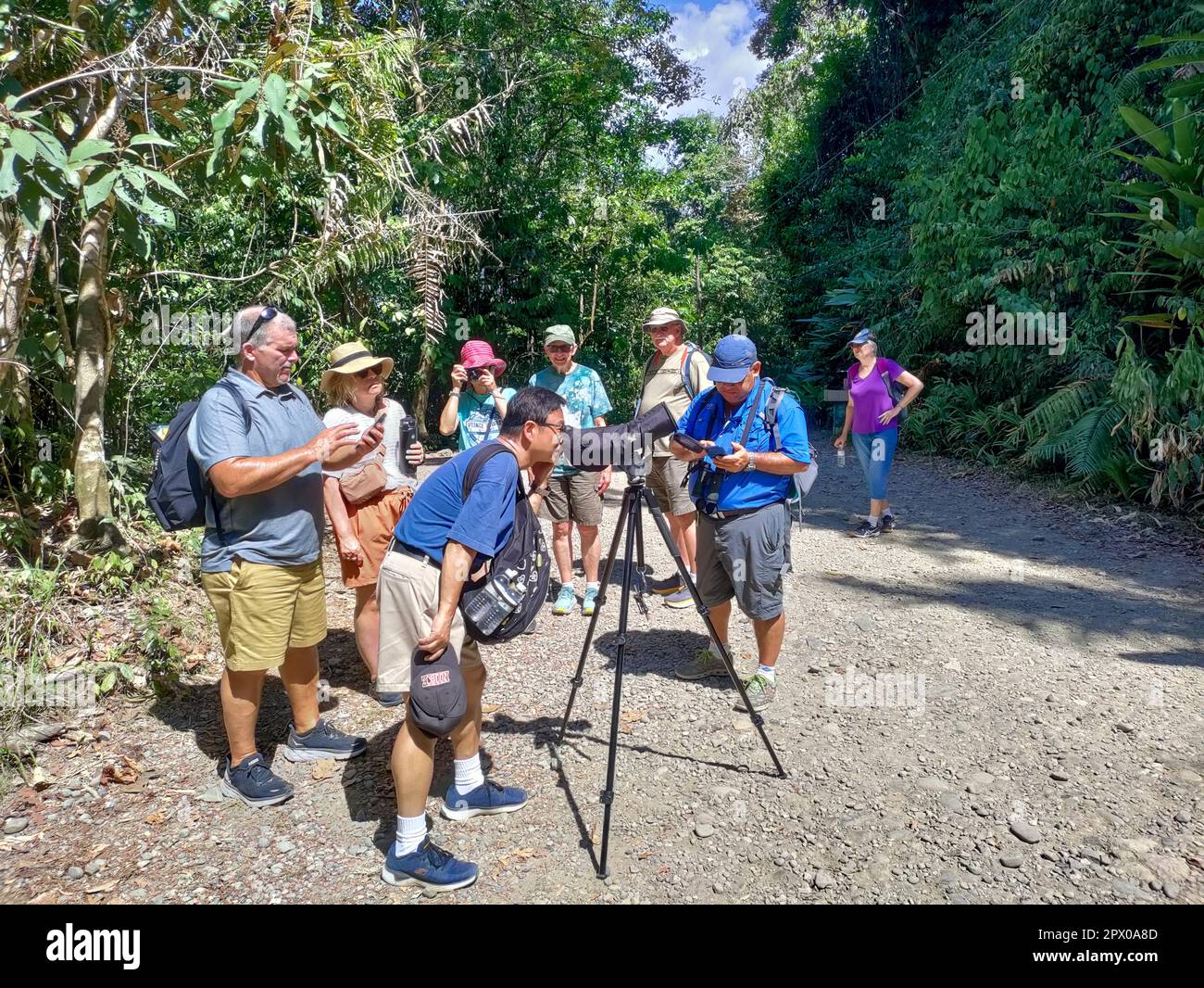 Manuel Antonio National Park, Costa Rica - Visitors use a spotting scope to view wildlife in the rainforest. Stock Photo