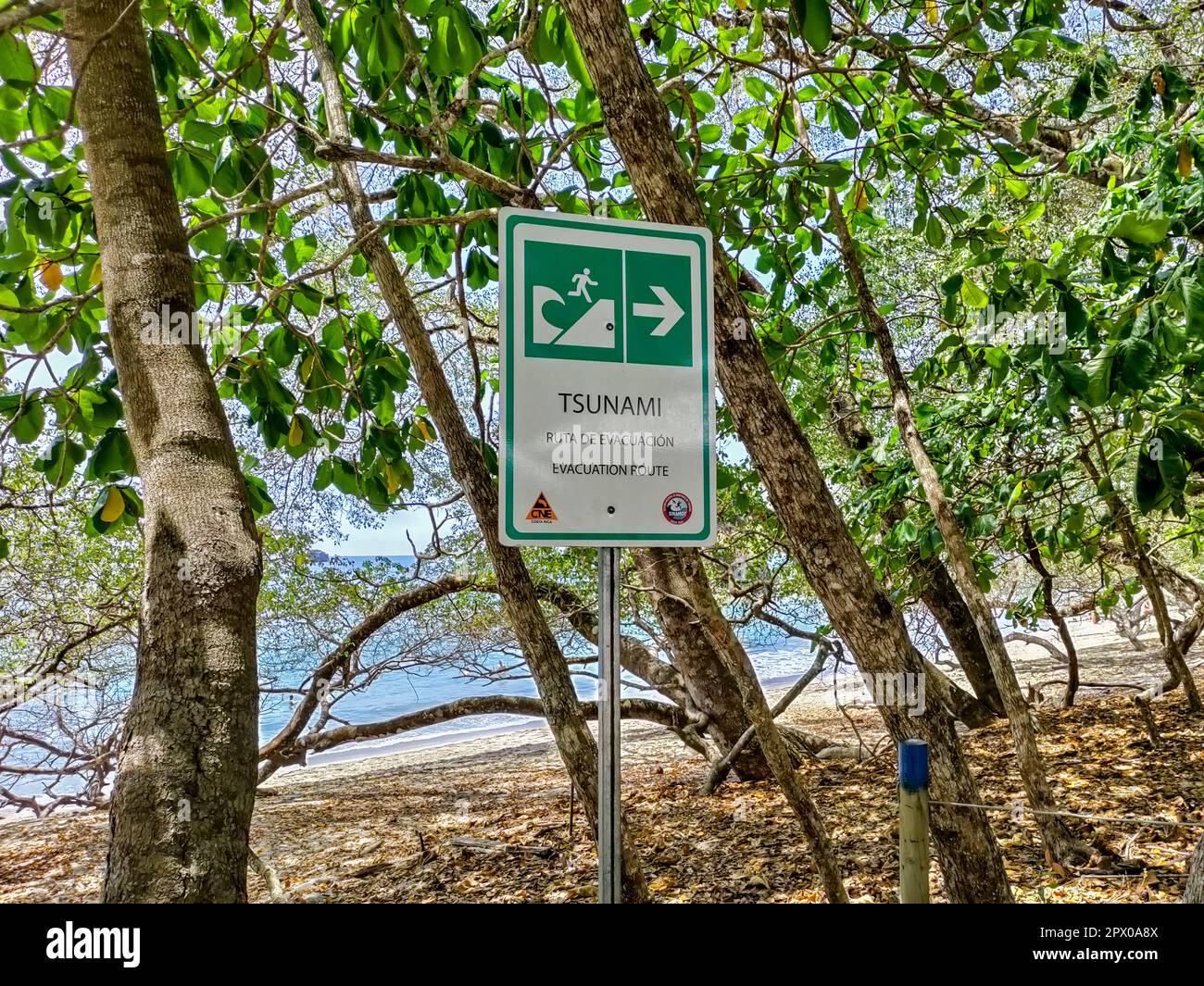 Tsunami alert costa rica