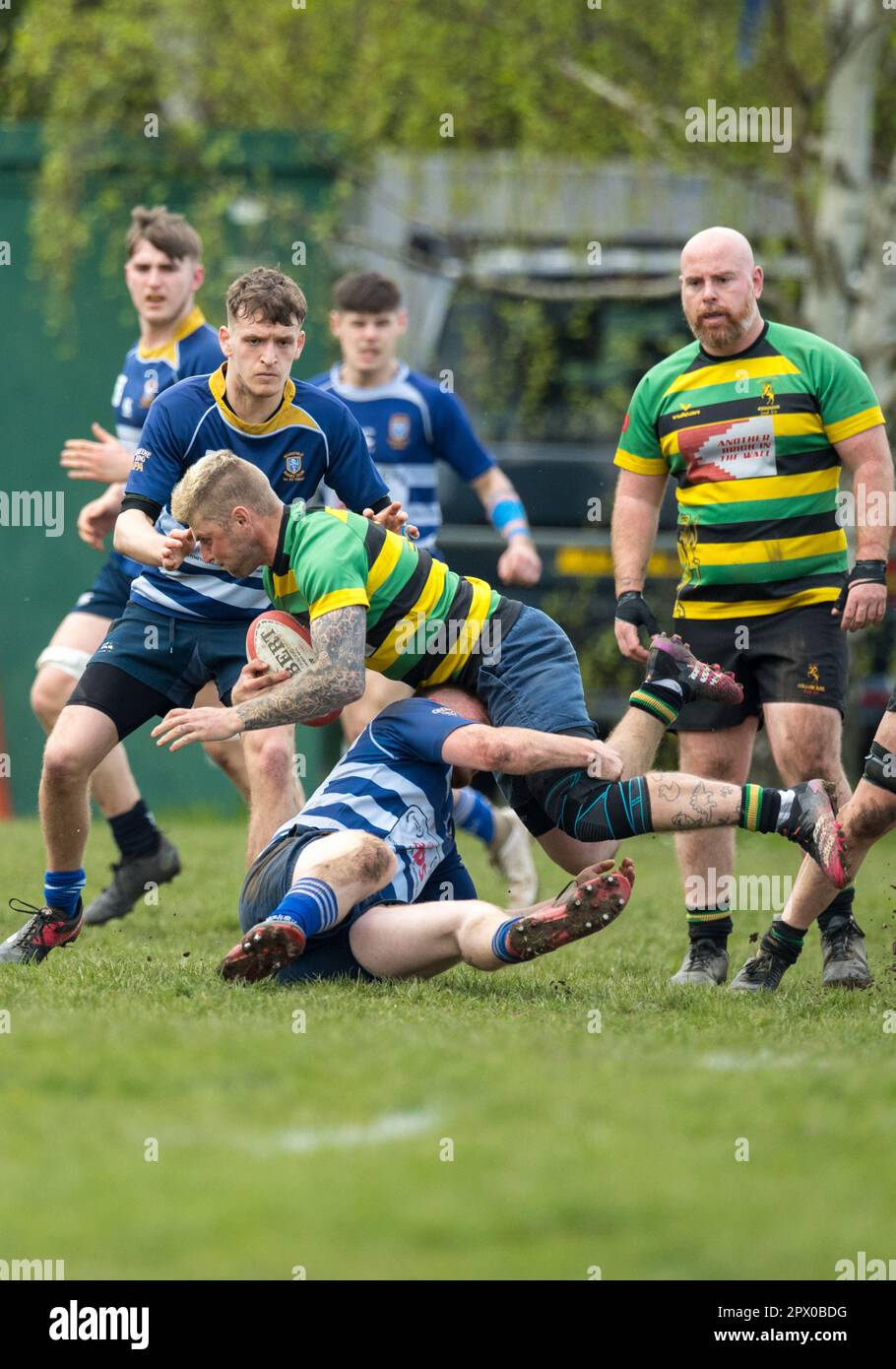English mens amateur Rugby Union players playing in a league game Stock ...