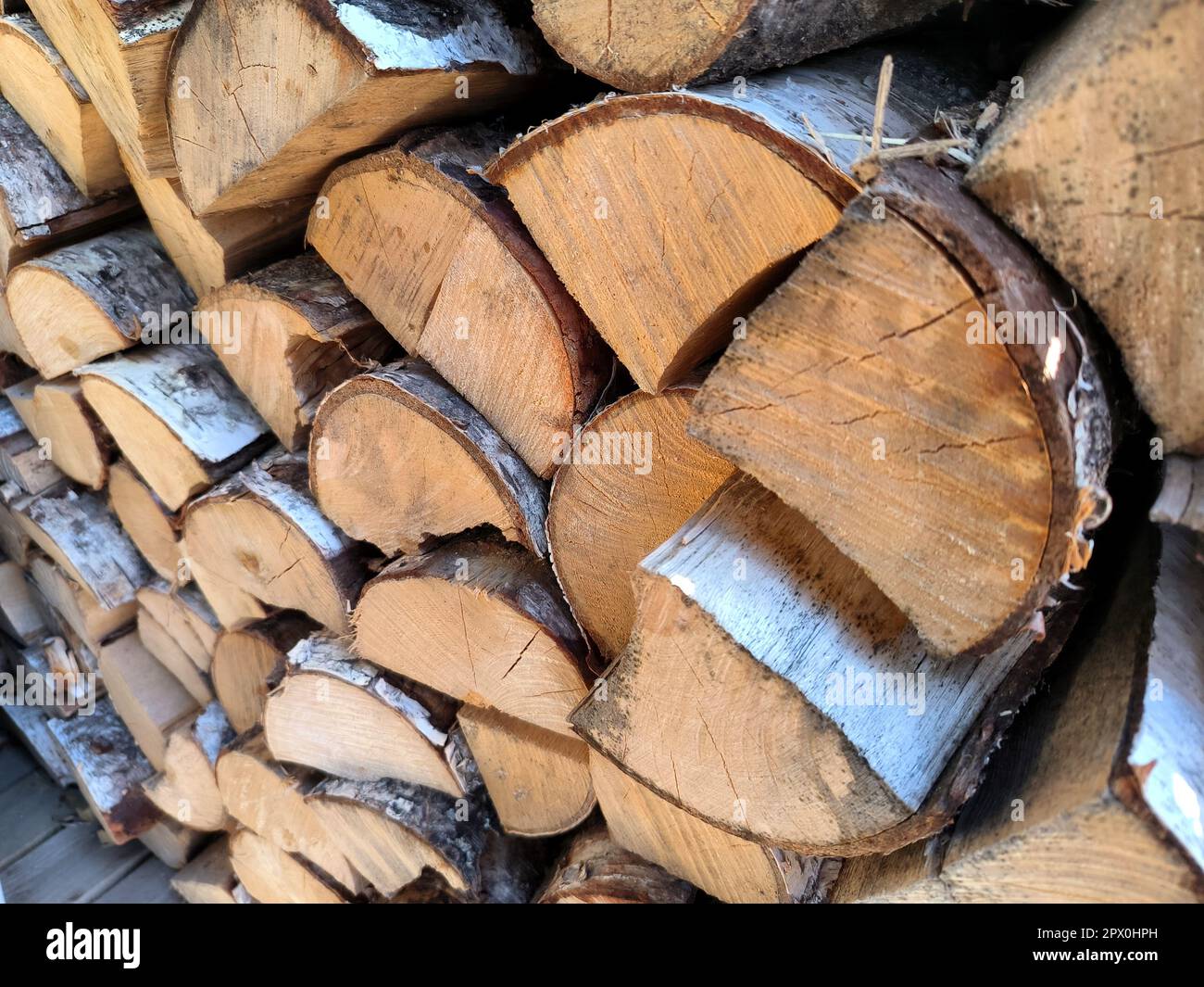 Russian Federation. Leningrad region, near the city of St. Petersburg