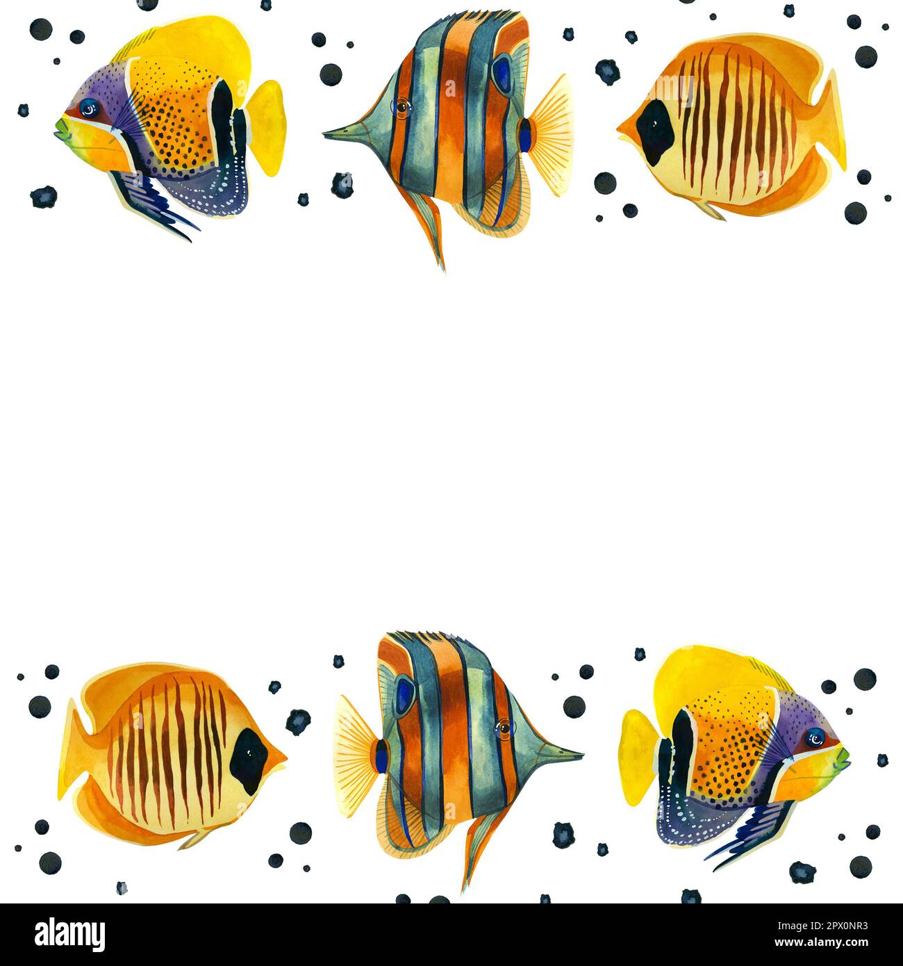Square frame. Tropical fish of bright colors, drops on a white background. Everything is hand painted with watercolors. Ideal for printing Stock Photo