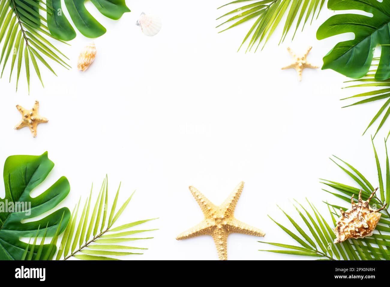 Summer flat lay background tropical leaves on white Stock Photo - Alamy