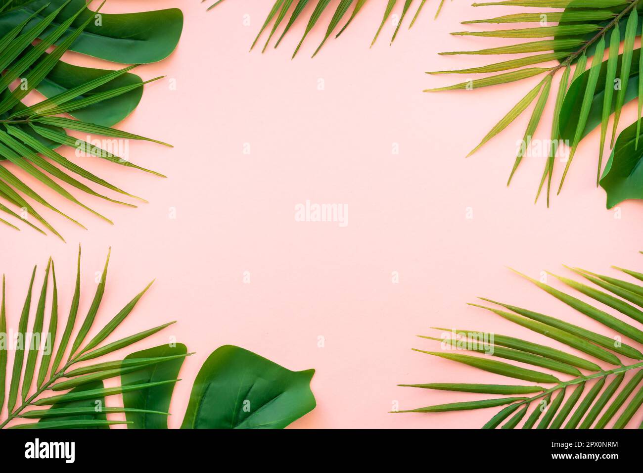 Summer flat lay background tropical leaves on white Stock Photo - Alamy